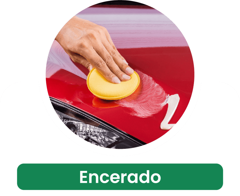 Encerado